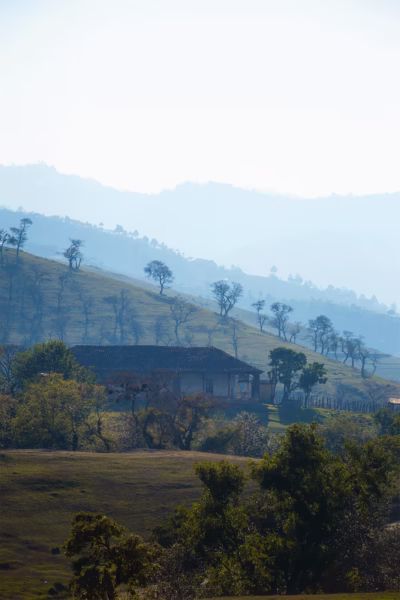 Casa y arboles secos Casa y arboles secos