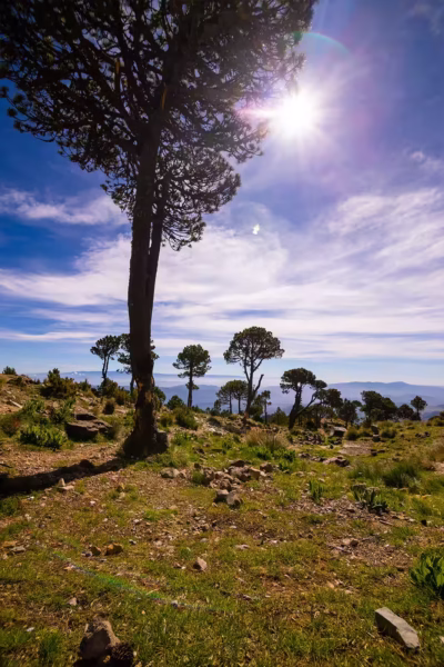 pinos-tajumulco-park pinos-tajumulco-park
